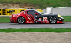 Panoz #17